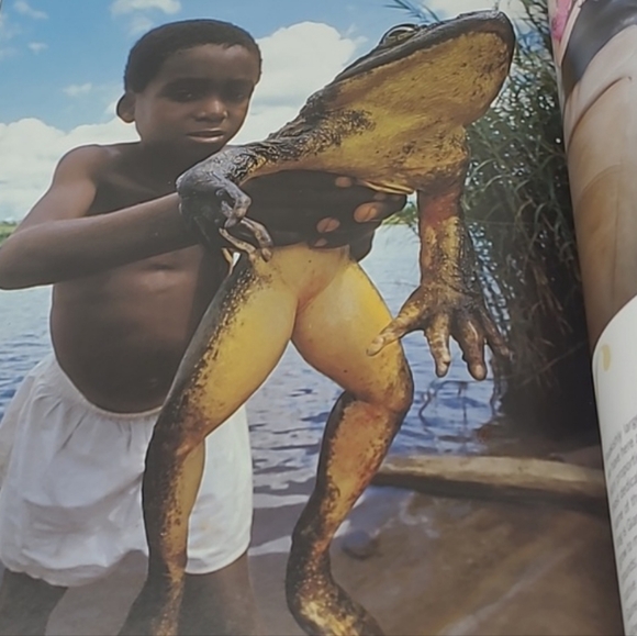 2010 LIFE BOOKS - WONDERS OF LIFE - THE AMAZING WORLD OF NATURE - Picture 15 of 16